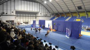 Premio Pirandello 2012